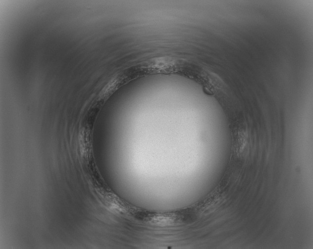 X0000052950236200507151717