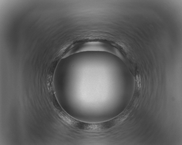 X0000052950237200507151717