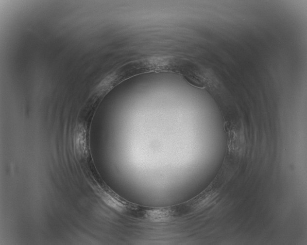 X0000052950238200507151717