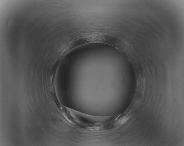 X0000052950239200507151717