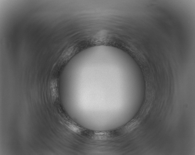 X0000052950240200507151717