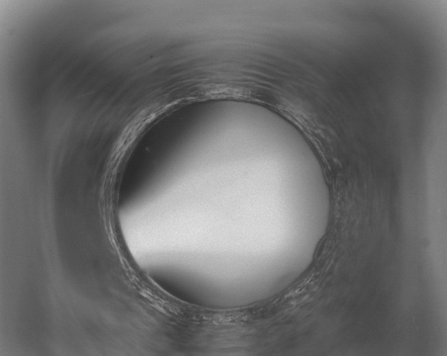 X0000052950241200507151717