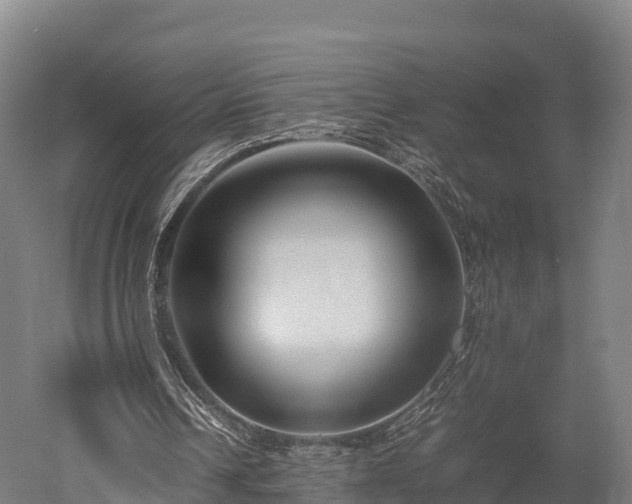 X0000052950242200507151717
