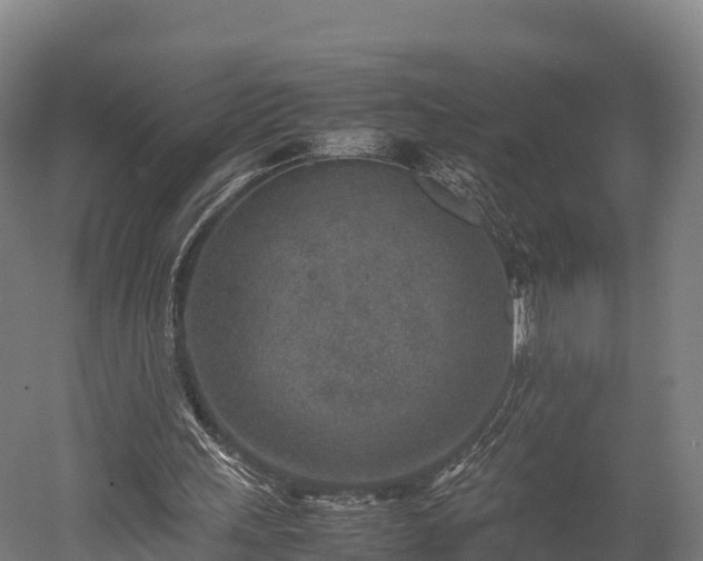 X0000052950243200507151717