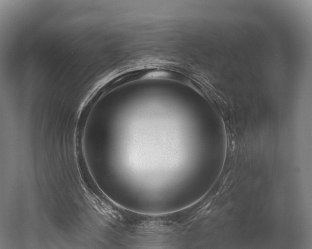 X0000052950244200507151717
