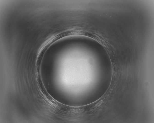 X0000052950245200507151717