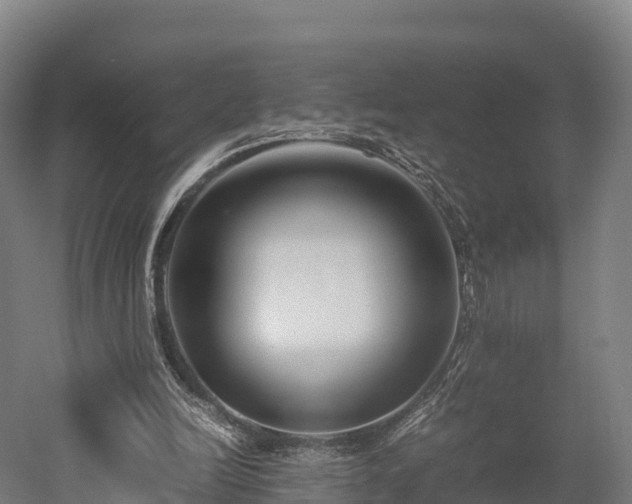 X0000052950246200507151717