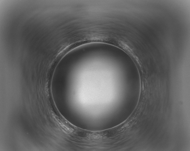 X0000052950249200507151717