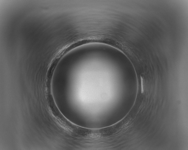 X0000052950252200507151717