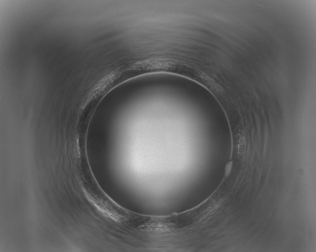 X0000052950254200507151717