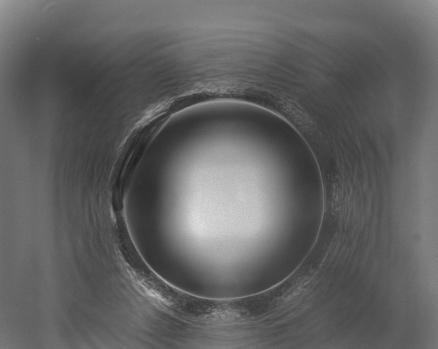 X0000052950256200507151717