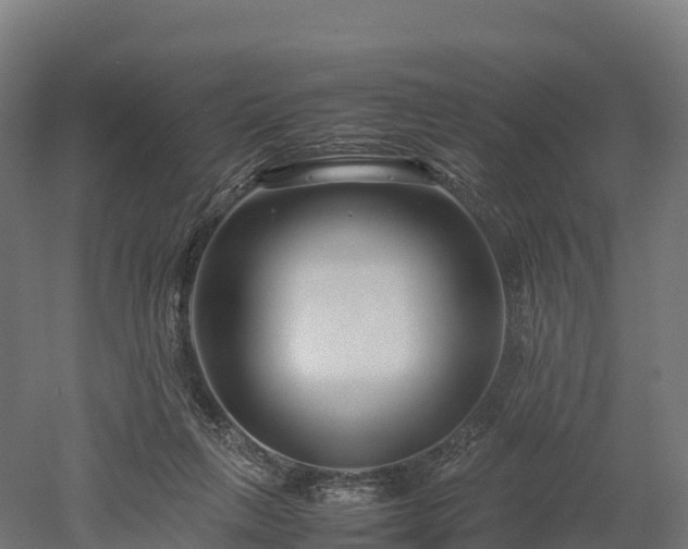 X0000052950263200507151717