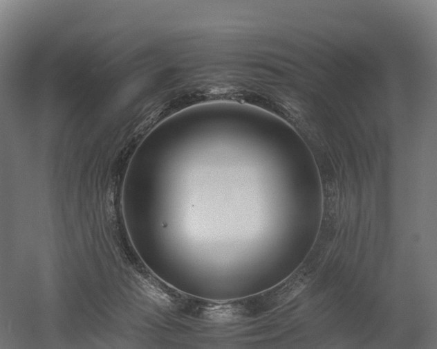 X0000052950269200507151717