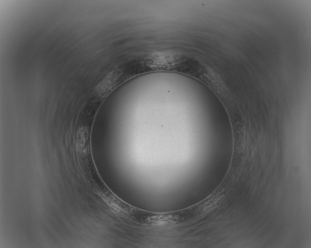 X0000052950273200507151717