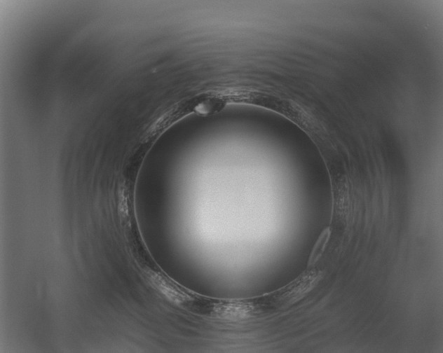 X0000052950282200507151717