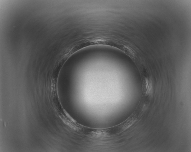 X0000052950284200507151717