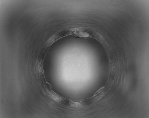 X0000052950285200507151717