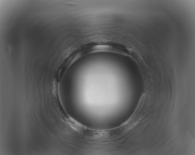X0000052950288200507151717