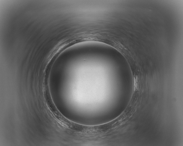 X0000052950291200507151716