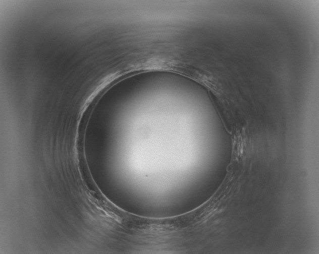X0000052950292200507151716