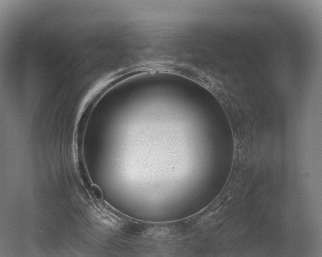 X0000052950294200507151716