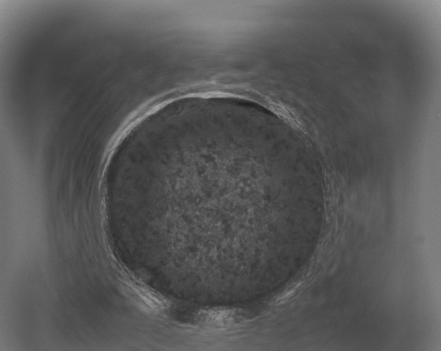 X0000052950295200507151716