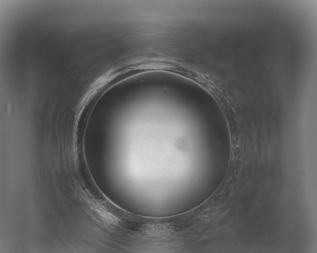 X0000052950296200507151716