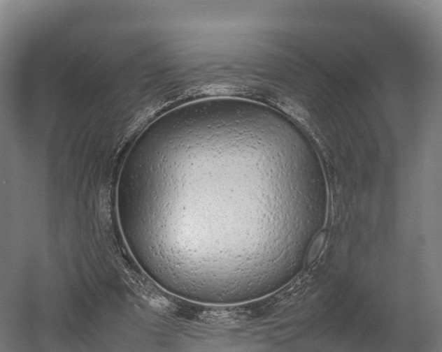 X0000052950297200507151716