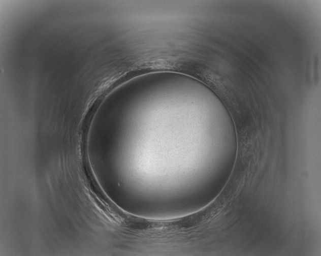 X0000052950299200507151716