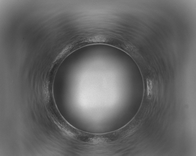 X0000052950300200507151716