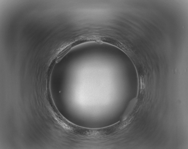 X0000052950301200507151716