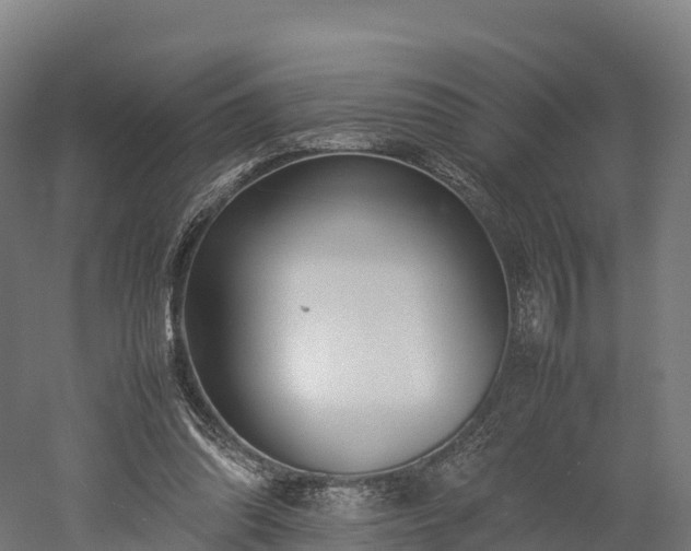 X0000052950302200507151716
