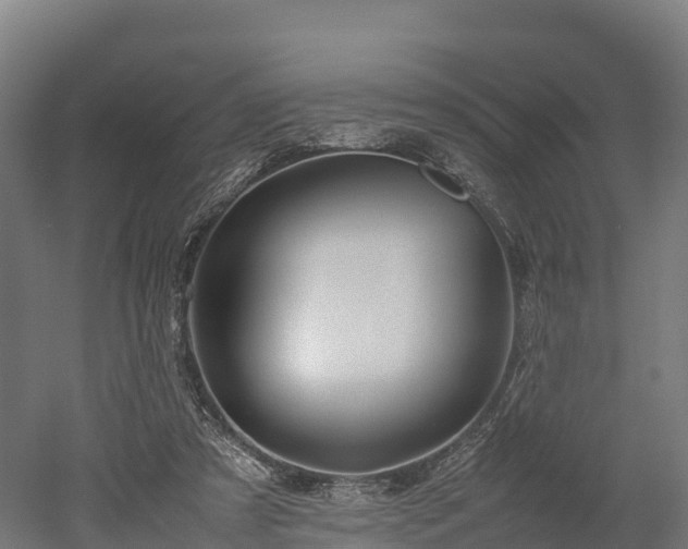 X0000052950305200507151716