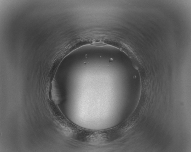 X0000052950307200507151716