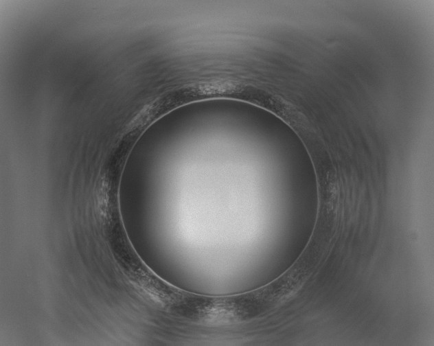 X0000052950308200507151716