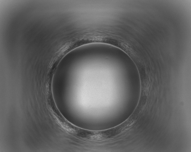 X0000052950309200507151716