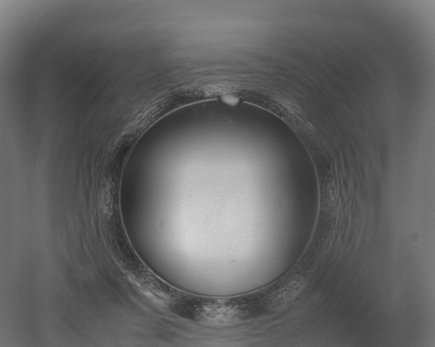 X0000052950311200507151716