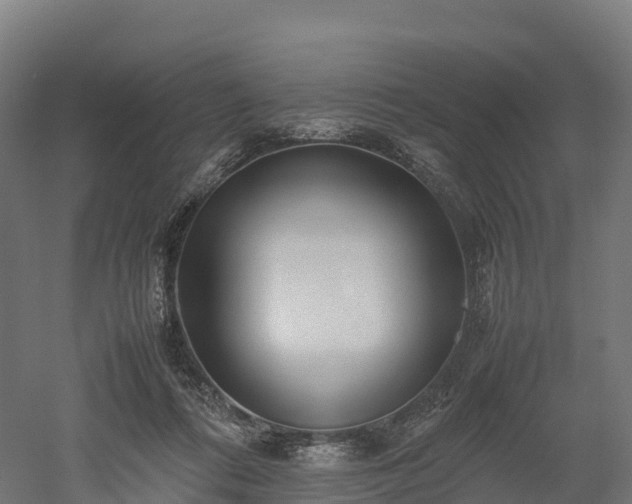 X0000052950312200507151716