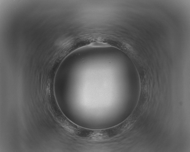 X0000052950315200507151716