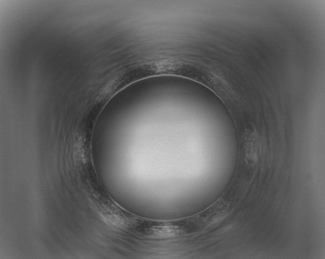X0000052950316200507151716