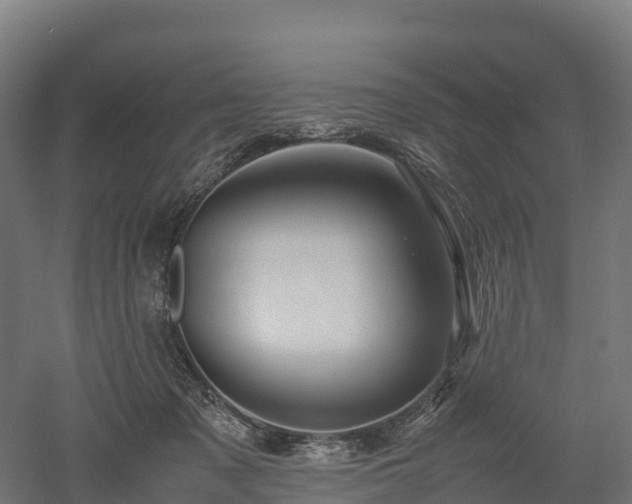 X0000052950317200507151716