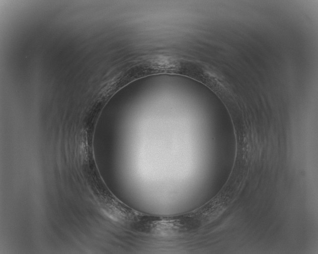 X0000052950320200507151716