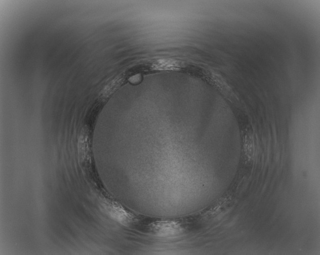 X0000052950322200507151716