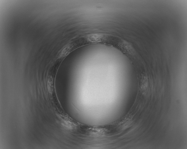 X0000052950332200507151716
