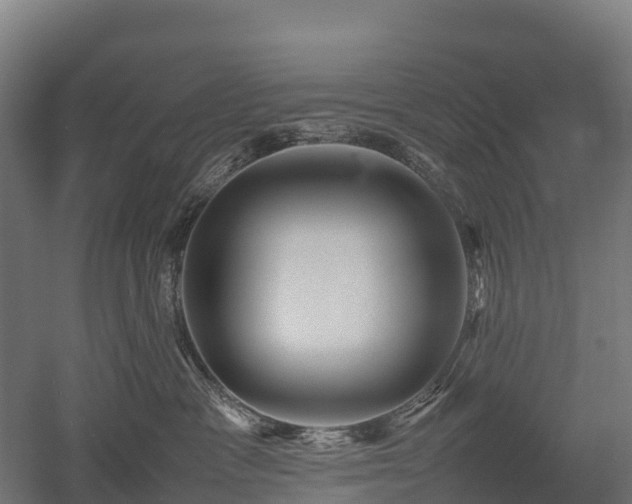X0000052950333200507151716