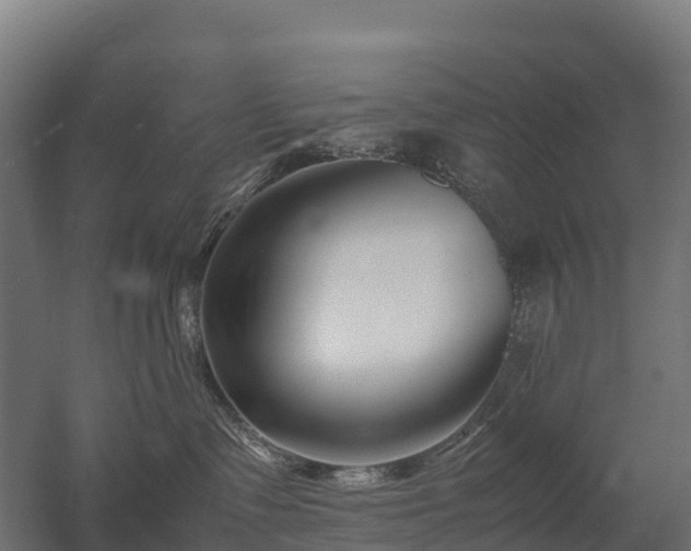 X0000052950335200507151716