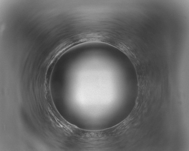 X0000052950338200507151715