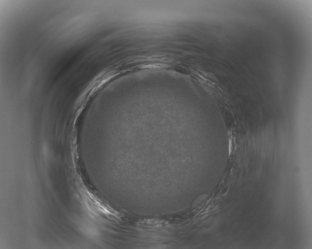 X0000052950339200507151715