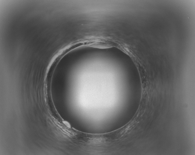 X0000052950342200507151715