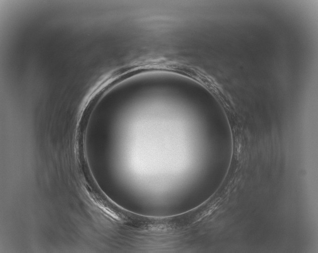 X0000052950344200507151715
